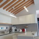 하도살이 이미지