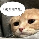 GFS 파리대구 식당 | 여행3] 파리에서 바르셀로나 (feat.에어프랑스), 파리...맛집, 몬세라트&amp;시체스투어, 마이리얼트립 후기