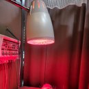 명동시원한의원 이미지