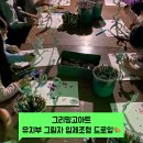 재크와콩나무미술학원