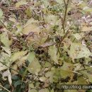 천보산농장 이미지