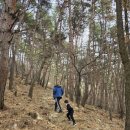 봉수산 | 홍성 봉수산 산책 임존성 등산 후기