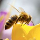 에스알한의원 이미지