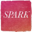 아라헤어 이미지