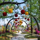 스무살봄의원 이미지