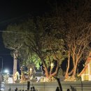 체디 | 치앙마이 여행 셋째날 | 올드타운 왓 체디 루앙 새벽 6시 방문 후기, 입장료 및 공양 정보, 아침 일찍...