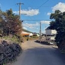 숲으로간 이그니스 마법학교 친구들 이미지