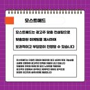 모스트애드