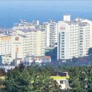 제주부동산중개사무소 이미지