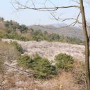 일람농원 이미지