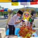 국가대표 한숲 HIT 태권도장 네이버블로그
