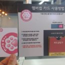 멍박스 이미지