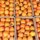 홍성농장 이미지