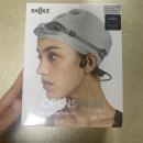 [수영 일기] 샥스 오픈 스윔 / 짧은 후기 / 숨 참고 러브다이브