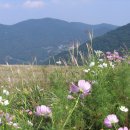 거북약수터 이미지