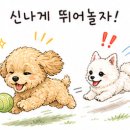 바우하우스105