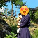 돌개구멍 화장실 네이버블로그