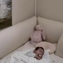 케이레브 | 내돈 내산 코코레브 마더케이 옆잠베개 | 엄몬스 침대 해방템