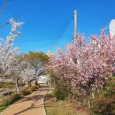 무계 스마트쉼터 이미지