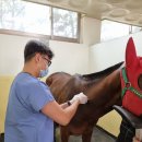 한국마사회 - 의정부시 | 한국마사회