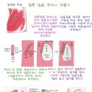 차근 차근 옷 만들기 이미지