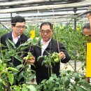 군북농협 이미지