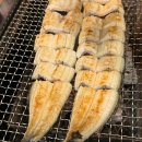 순민물장어구이식당 이미지
