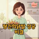 닭발 CEO | 월 5억 신화 량진희닭발 성공스토리와 레몬 냉채닭발