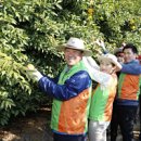 와항마을 이미지