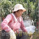 황수만 농장 이미지