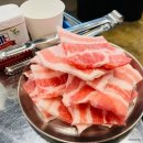 청춘을돌리돈
