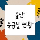 울산 응급실 명단(휴일 진료)