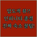 펫.낭만살롱 | 압도적 뷰의 스카이베이 강릉 세인트존스 하이오션 인피니티 풀 경쟁 진짜배기 숙소는 여기