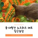 (주)메트워크 이미지