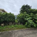 신효동-12 이미지