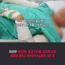 우리집 이미지