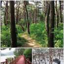 백제가요정읍사오솔길(2코스 내장호 수변데크) 이미지