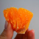 온새미영농조합법인 이미지