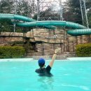 바람아래팜스테이 | 대구 가창 스파밸리 워터파크 예매 주차장 할인 아이랑 대구근교가볼만한곳