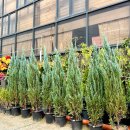 조은정원농장 이미지