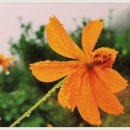 또또모터스 이미지