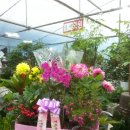 청운세탁소 이미지