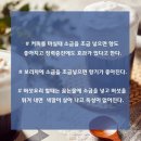 청소특공대 이미지