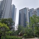 8월신촌 이미지