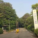 현충원로(유성-19) 이미지