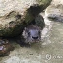 전남야생동물관리센터 이미지