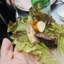 돼지갈매기 이미지