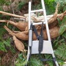 영지농장 이미지