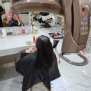 뿌리네 애견샵 | 망포역 미용실 뿌리 염색 손상 최소화 1:1 맞춤 케어 [헤어브리즈]헤어샵