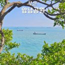 부산 송도 암남공원 산책 둘레길 코스추천